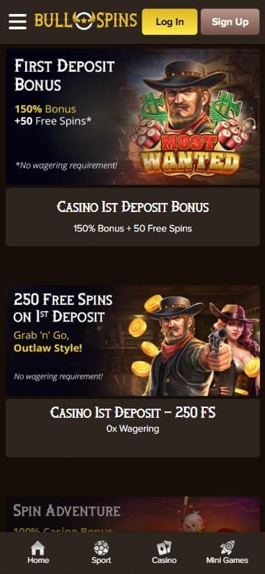 Overview of bull spins casino